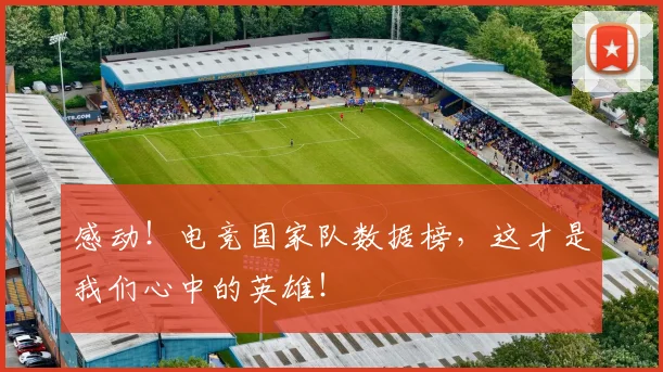 感动！电竞国家队数据榜，这才是我们心中的英雄！